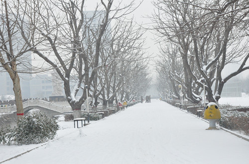 雪中的河北科技学院