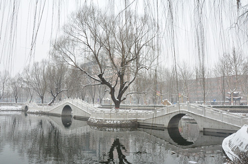 雪中的河北科技学院