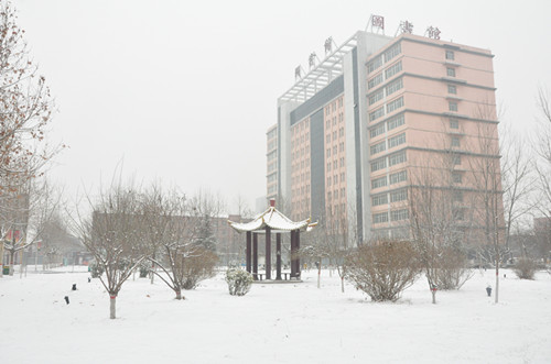 雪中的河北科技学院