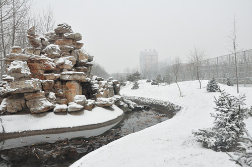 雪中的河北科技学院