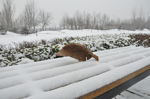 雪中的河北科技学院